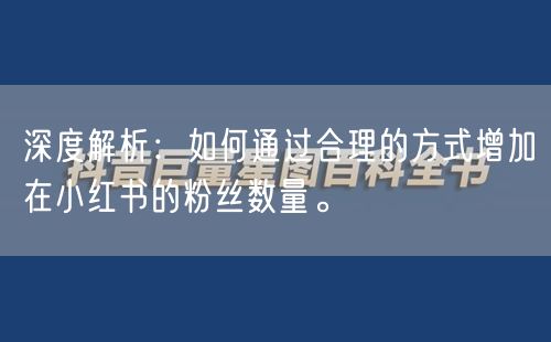 深度解析：如何通过合理的方式增加在小红书的粉丝数量。